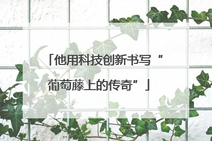 他用科技创新书写“葡萄藤上的传奇”