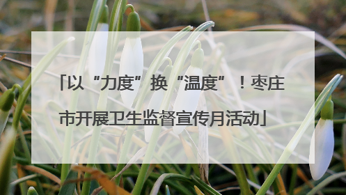 以“力度”换“温度”！枣庄市开展卫生监督宣传月活动
