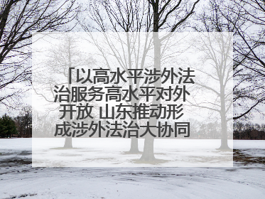 以高水平涉外法治服务高水平对外开放 山东推动形成涉外法治大协同工作格局