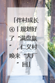 伴村成长④丨规划好了“满盘赢”，仁义村唤来“大厂”回
