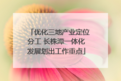 优化三地产业定位分工 长株潭一体化发展划出工作重点