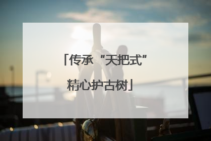 传承“天把式” 精心护古树