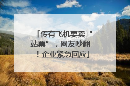 传有飞机要卖“站票”，网友吵翻！企业紧急回应