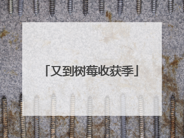 又到树莓收获季