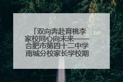 双向奔赴育桃李 家校同心向未来——合肥市第四十二中学南城分校家长学校期末总结会圆满召开