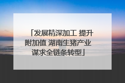 发展精深加工 提升附加值 湖南生猪产业谋求全链条转型