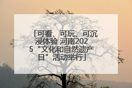 可看、可玩、可沉浸体验 河南2025“文化和自然遗产日”活动举行