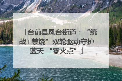 台前县凤台街道：“统战+禁烧”双轮驱动守护蓝天 “零火点”