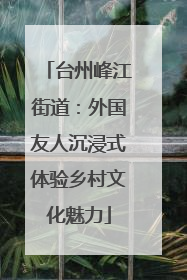 台州峰江街道：外国友人沉浸式体验乡村文化魅力