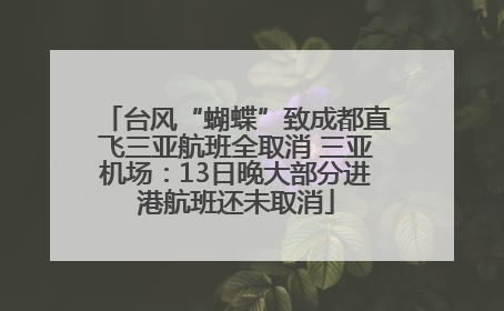 台风“蝴蝶”致成都直飞三亚航班全取消 三亚机场：13日晚大部分进港航班还未取消