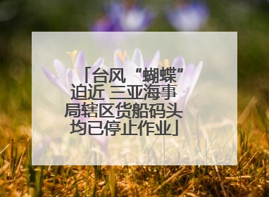 台风“蝴蝶”迫近 三亚海事局辖区货船码头均已停止作业