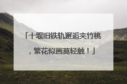 十堰旧铁轨邂逅夹竹桃，繁花似画莫轻触！