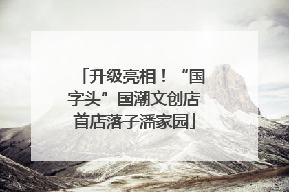 升级亮相！“国字头”国潮文创店首店落子潘家园
