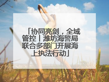 协同亮剑，全域管控丨潍坊海警局联合多部门开展海上执法行动