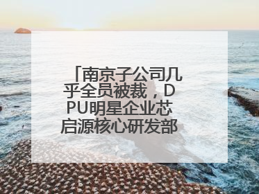 南京子公司几乎全员被裁，DPU明星企业芯启源核心研发部门已人去楼空