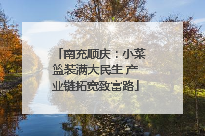 南充顺庆：小菜篮装满大民生 产业链拓宽致富路