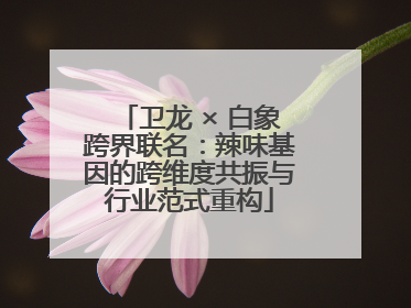 卫龙 × 白象跨界联名：辣味基因的跨维度共振与行业范式重构