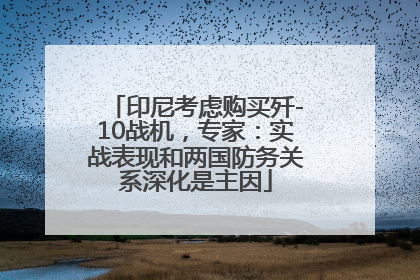 印尼考虑购买歼-10战机，专家：实战表现和两国防务关系深化是主因