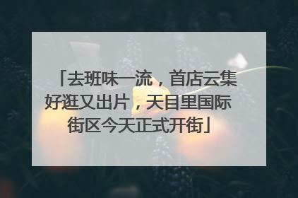 去班味一流，首店云集好逛又出片，天目里国际街区今天正式开街