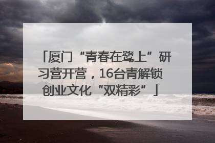 厦门“青春在鹭上”研习营开营，16台青解锁创业文化“双精彩”