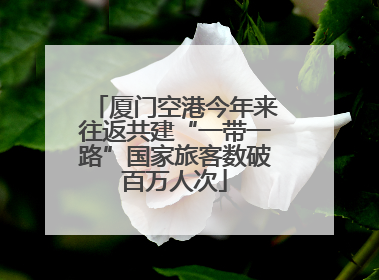 厦门空港今年来往返共建“一带一路”国家旅客数破百万人次