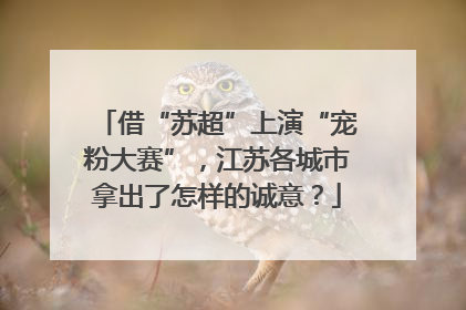 借“苏超”上演“宠粉大赛”，江苏各城市拿出了怎样的诚意？