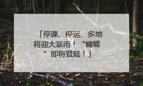 停课、停运、多地将迎大暴雨！“蝴蝶”即将登陆！