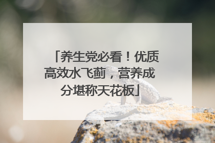 养生党必看！优质高效水飞蓟，营养成分堪称天花板