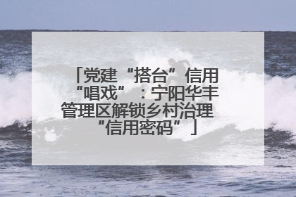 党建“搭台”信用“唱戏”：宁阳华丰管理区解锁乡村治理“信用密码”