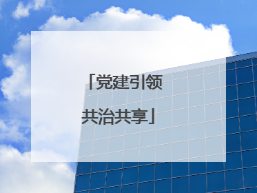 党建引领 共治共享