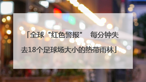 全球“红色警报”  每分钟失去18个足球场大小的热带雨林