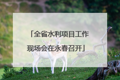 全省水利项目工作现场会在永春召开