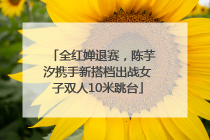 全红婵退赛，陈芋汐携手新搭档出战女子双人10米跳台