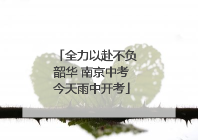 全力以赴不负韶华 南京中考今天雨中开考