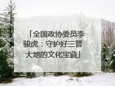 全国政协委员李骏虎：守护好三晋大地的文化宝藏