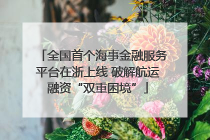 全国首个海事金融服务平台在浙上线 破解航运融资“双重困境”