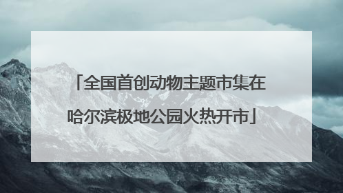 全国首创动物主题市集在哈尔滨极地公园火热开市