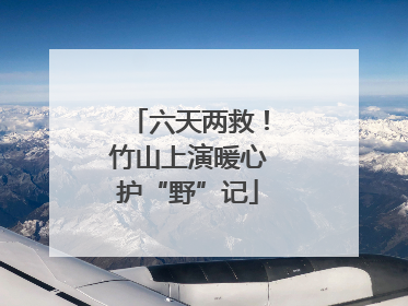 六天两救！竹山上演暖心护“野”记