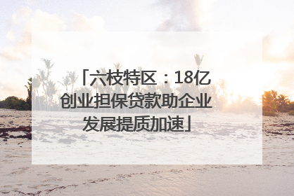 六枝特区：18亿创业担保贷款助企业发展提质加速