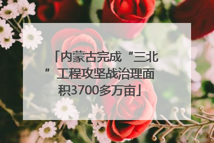内蒙古完成“三北”工程攻坚战治理面积3700多万亩