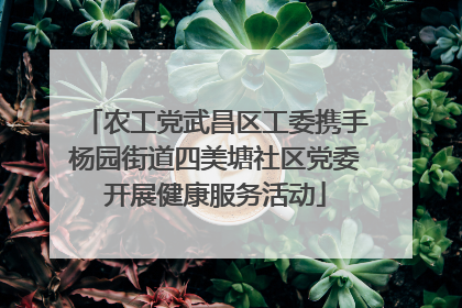 农工党武昌区工委携手杨园街道四美塘社区党委开展健康服务活动