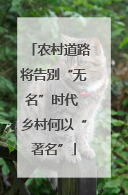 农村道路将告别“无名”时代 乡村何以“著名”