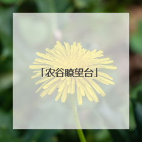 农谷瞭望台