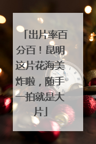 出片率百分百！昆明这片花海美炸啦，随手一拍就是大片