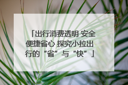出行消费透明 安全便捷省心 探究小拉出行的“省”与“快”