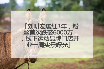 刘畊宏爆红3年，粉丝首次跌破6000万，线下运动品牌门店开业一周实景曝光