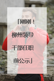 刚刚！柳州领导干部任职前公示