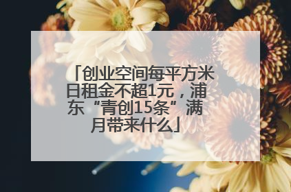 创业空间每平方米日租金不超1元，浦东“青创15条”满月带来什么