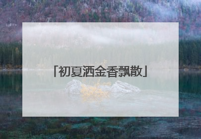 初夏洒金香飘散