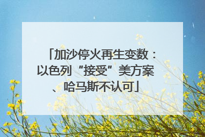 加沙停火再生变数：以色列“接受”美方案、哈马斯不认可
